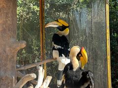 -侬佳蒸菜馆(听潮店)