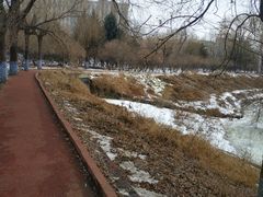 -黛秀湖公园