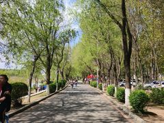 -丁香湖公园