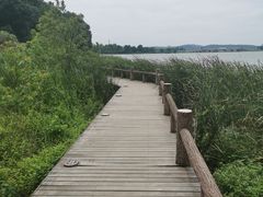 -东湖落雁景区
