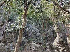 -杭州西湖风景名胜区-三生石