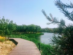 -东郊湿地公园