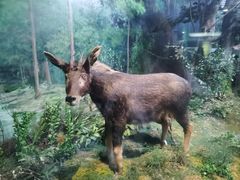 -陕西自然博物馆