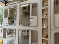 -唐小姐の私宠·宠物洗护美容·撸猫馆·购宠(周浦万达旗舰店)