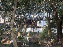 -上海醉白池公园