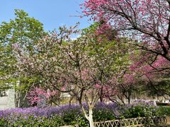 -白塘生态植物园