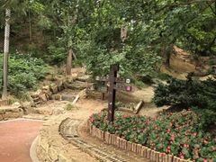 -大连植物园