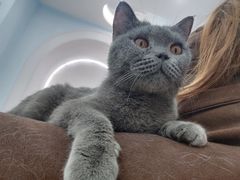 -1013 PET SHOP 宠物商店(近铁城市广场店)