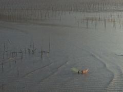-北岐滩涂
