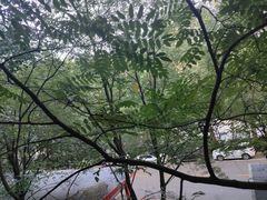 -圣典成人钢琴俱乐部(国贸旗舰校区)