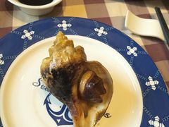 海螺-红星渔村(将军石店)