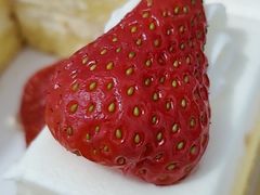 -味多美蛋糕(耿庄店)