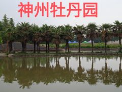 -神州牡丹园