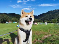 -玉渡山自然风景区