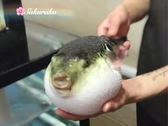 -天正河鲀·河豚亭(大连店)