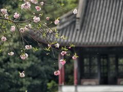 -苏堤停车场