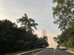 -深圳仙湖植物园