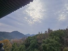 -雷峰塔景区