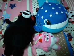 -PAWTOY爪e玩偶店(天兴罗斯福店)