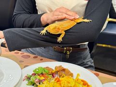 -FAIRYLAND龙族星球主题餐厅(凯丹广场店)