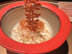 -地球美食剧场
