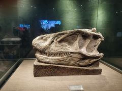 -自贡恐龙博物馆