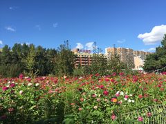 -吉林大学(前卫南区)