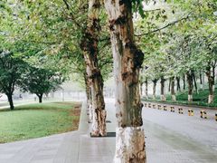 -龙头寺公园