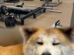 -YCHL Studios健身工作室(市二宫店)