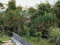 -南紀白浜 浜千鳥の湯 海舟