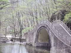 -牛背梁国家森林公园