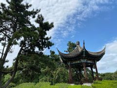 -尚湖风景区