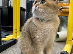 -CrossFit 六朝综合训练馆(玄武店)
