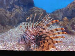 -福州罗源湾海洋世界旅游区