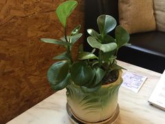 -新华里咖啡书吧(新华书店小寨店)