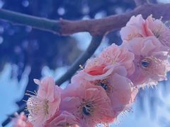-大雁塔北广场音乐喷泉