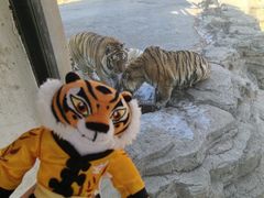 -大连森林动物园