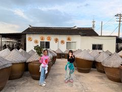 -苏州市吴中区光福窑上花果蜜饯厂