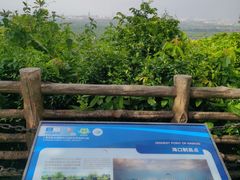 -海口火山口国家地质公园