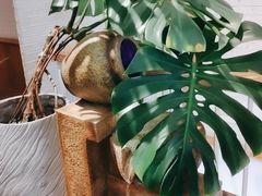 -七色云蔬食(喜邻里店)