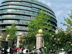 -首都医科大学宣武医院