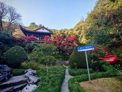 -十八棵（老龙井）御茶园(老龙井店)
