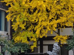 -常熟方塔园