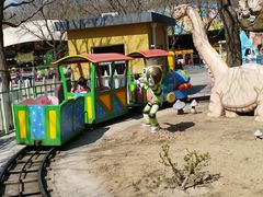 -朝阳公园游乐园