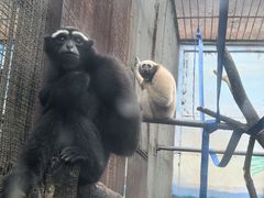 -昆明动物园