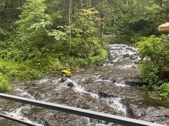 -峡谷浮石林景区