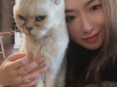 -猫猫幼稚园·撸猫·桌游·电玩