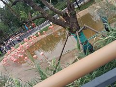 -武汉动物园
