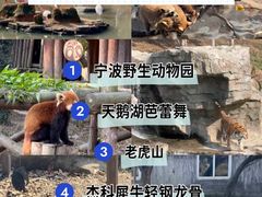 -宁波野生动物园