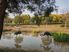 -紫颐香薰山谷景区